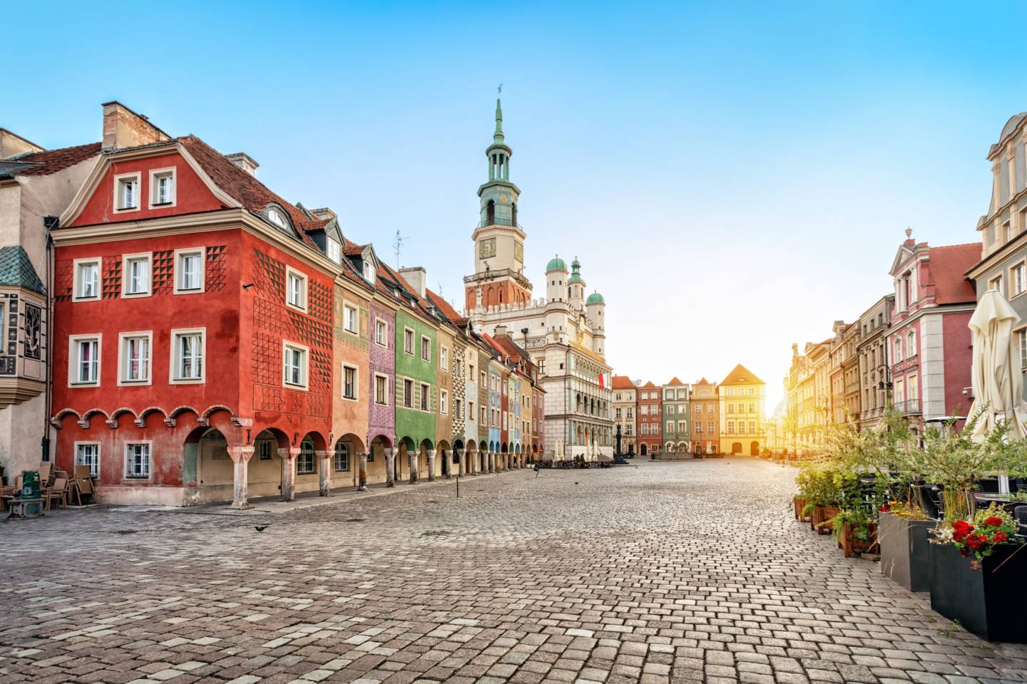 pozycjonowanie strony poznań i optymalizacja seo