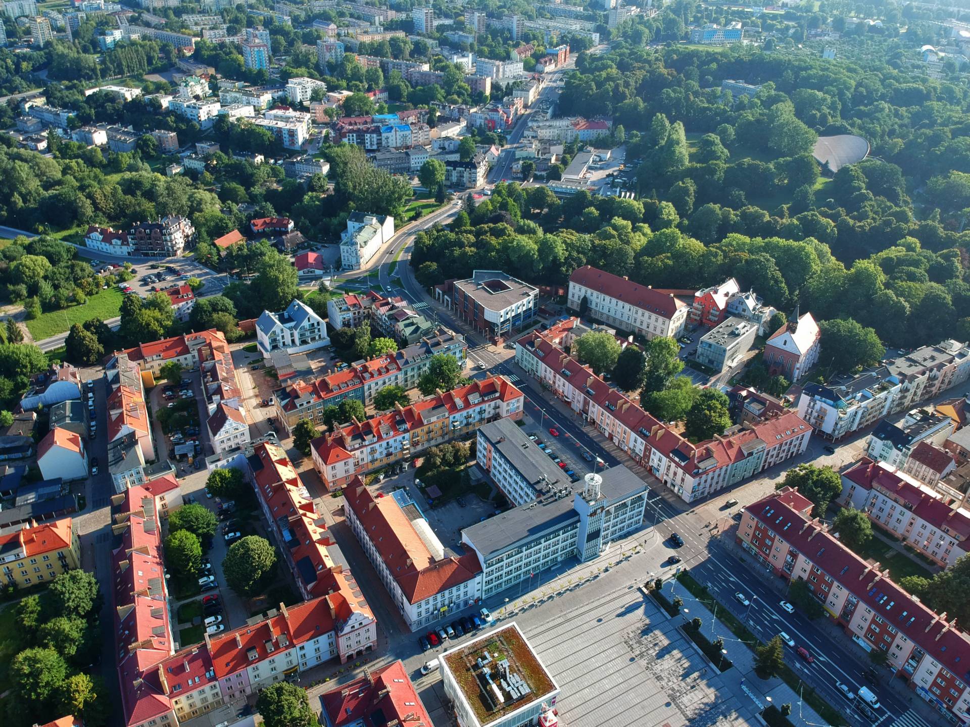 skuteczne pozycjonowanie stron internetowych