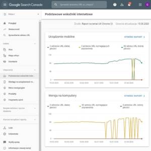 Mierzenie Core Web Vitals w Google Search Console