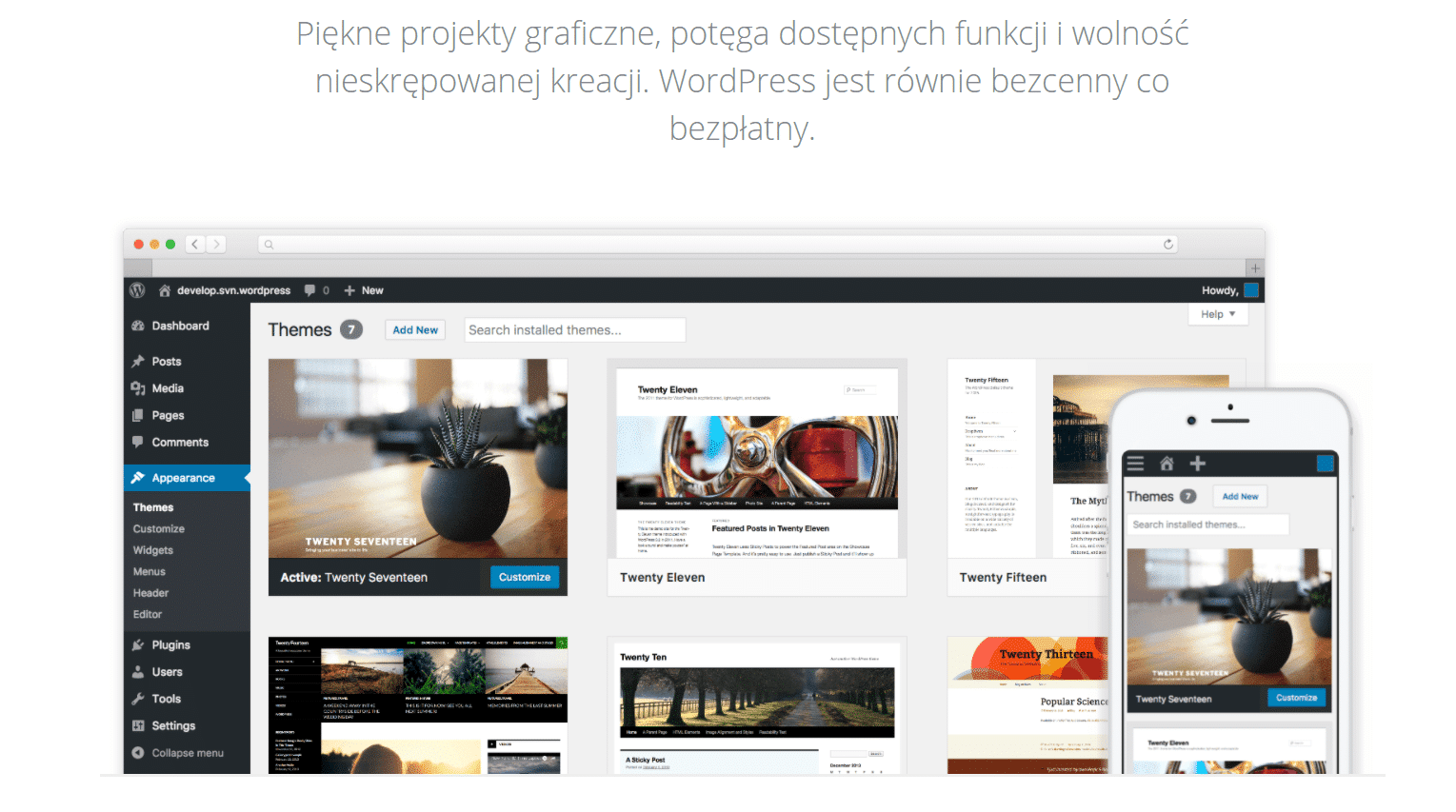 CMS WordPress