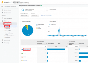 Drugi sposób sprawdzenia obecności ruchu generowanego przez boty w Google Analytics