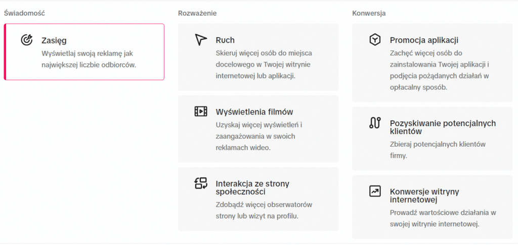 TikTok Ads-cele reklamowe